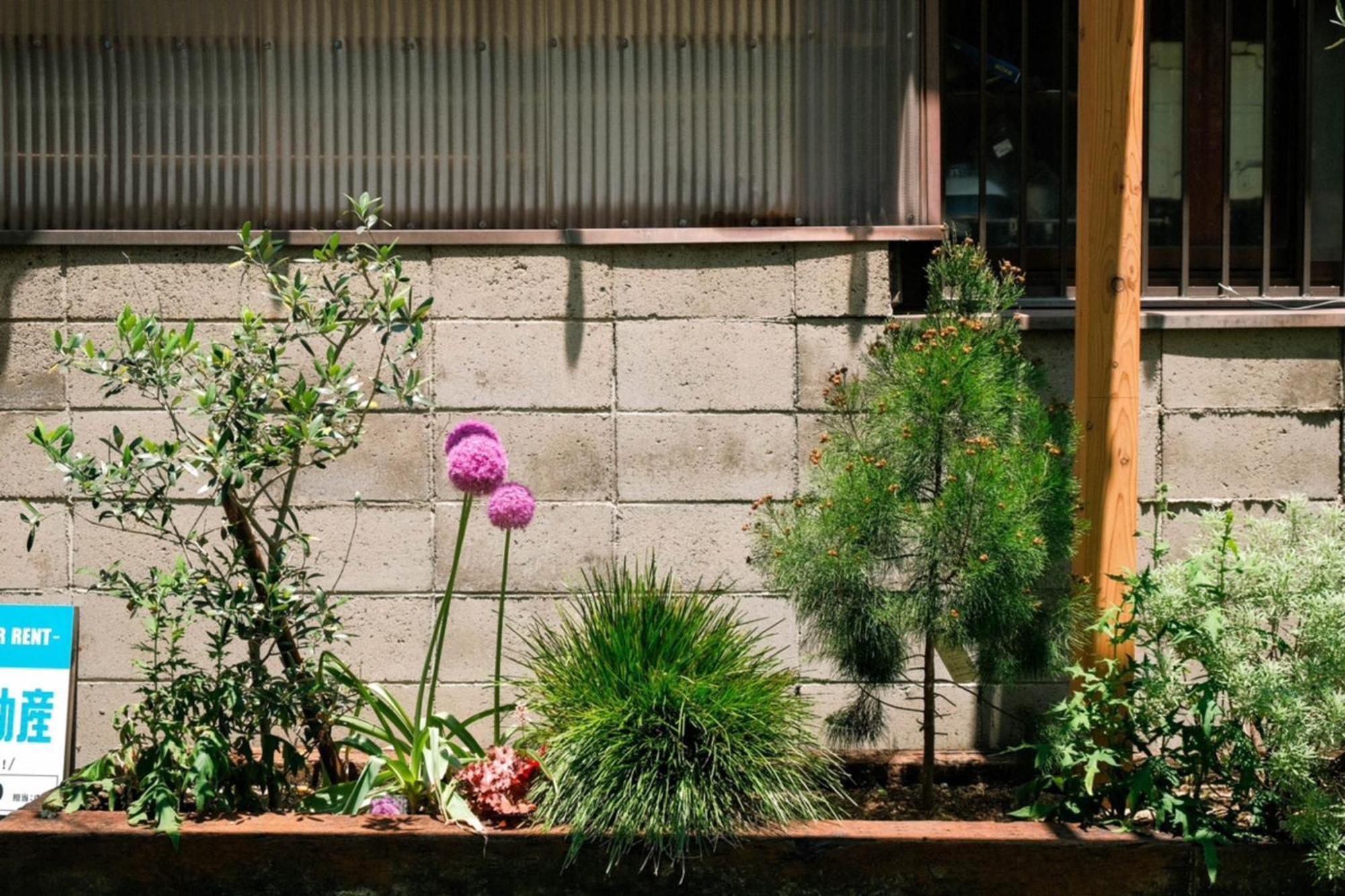 Traditional Apartment 高松 ゲストハウス 部屋 写真